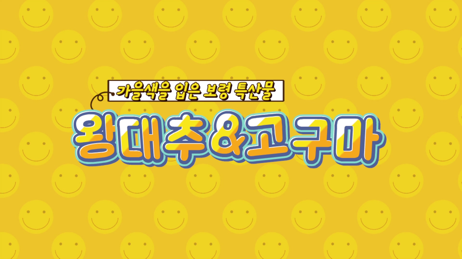 가을색을 입은 보령 특산물 '왕대추&고구마'